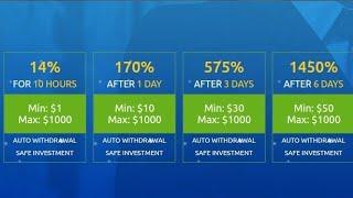 Best 1$ hourly hyip investment site: bestim .co | Earn 14% hrly for 24hrs | 13.22$ proof #hyipsdaily