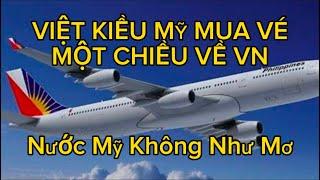 Việt Kiều Mỹ & Tấm Vé Một Chiều Trở Về Việt Nam – Giấc Mơ Mỹ Không Như Mong Đợi!