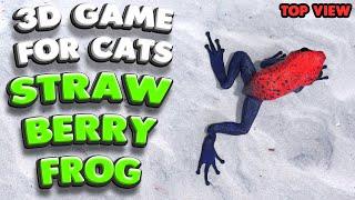 3D game for cats |  The strawberry poison frog (top view) | 4K, 60 fps, stereo sound