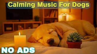 12 HOURS of Dog Calming Music for DogsAnti Separation Anxiety Relief MusicMusic for Dogs