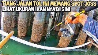 SPOT MANCING JOSS‼️TIANG TOL BALI MANDARA MEMANG BENAR BENAR SPOT POTENSIAL.