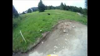 Seeing A Bear at whistler Canada Mountain Biking (GoPro)