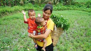 Single mother | Harvest spinach goes to the market sell & Take care of two children - Daily life