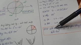 ECG cơ bản - phần 1