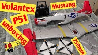 RTF Volantex P-51D 750mm unboxing 768-1 RC plane warbird review