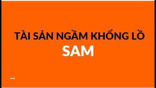 SAM- CƠ HỘI TĂNG GIÁ 50% TỪ KHỐI TÀI SẢN