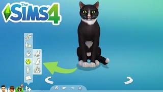How To Add Pets To An Existing Household/Family - The Sims 4