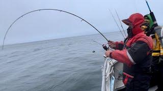 TEST prutu SPORTEX Black Arrow G-3 Spin 210cm, 40g _ halibut fishing