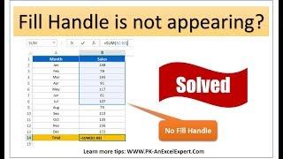 Excel Problem Solved : Fill Handle Not Appearing || Quick Solution