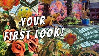 Bellagio Conservatory 2024 Display in Las Vegas Revealed!