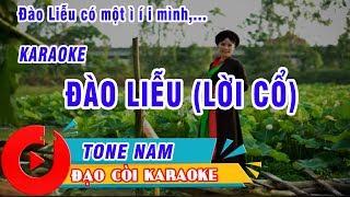 DAO LIEU (LOI CO) KARAOKE CHEO CO TONE NAM