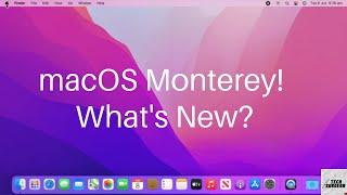 macOS 12 Monterey Beta 1 - What's New? | How To Download