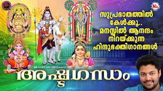 സുപ്രഭാതത്തിൽകേൾക്കൂ മനസ്സിൽ ആനന്ദം നിറയ്ക്കുന്ന ഹിന്ദുഭക്തിഗാനങ്ങൾ|Hindu Devotional Songs Malayalam