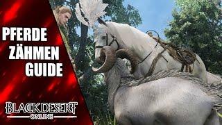 Pferde finden, zähmen und züchten - Black Desert Guide GERMAN