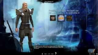 Guild Wars 2 - Review