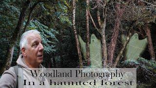 Woodland photography in the Quantocks most haunted forest !!!