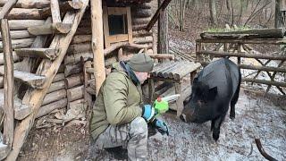 Он всегда счастлив от встречи с другом | лесной хутор.