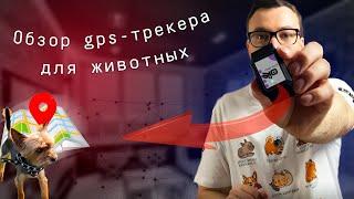 Умный обзор: GPS-трекер