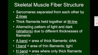 Video 1 - Muscluar System - Types of Muscle Tissue