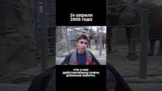 Это САМОЕ ПЕРВОЕ ВИДЕО НА YOUTUBE! #первоевидео #shorts