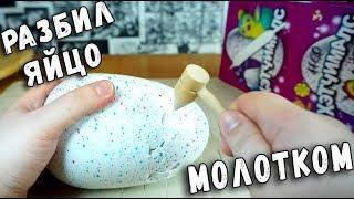 РАЗБЕЙ ЯЙЦО Хетчималс МОЛОТКОМ ПОДДЕЛКА HATCHIMALS ОБЗОР ТОВАРИЩА САФРОНОВА