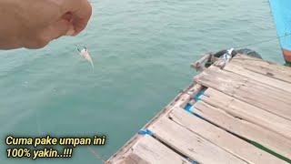 MANCING DASARAN DI LAUT UMPAN UDANG MATI Spot kermba Bojonegara, Banten | Fishing videos