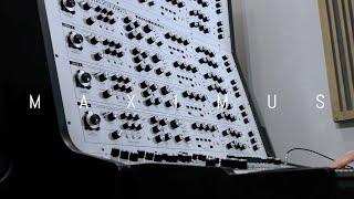 Analogue Solutions Maximus | A True Polyphonic Synthesizer