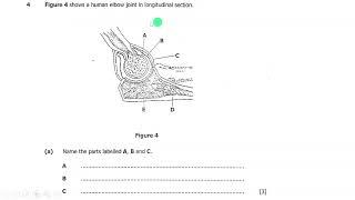 2021 Biology Paper 2 GCE for ECZ Exam