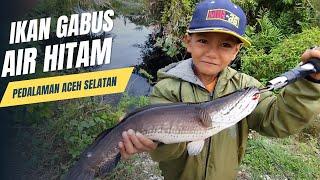 Pertama X casting gabus didanau besar || Mancing Ikan Gabus Raksasa || Mancing Ikan Gabus Besar