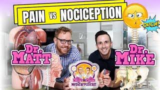 Pain vs. Nociception | Podcast
