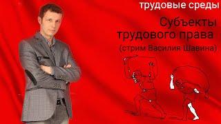 Субъекты трудового права (стрим Василия Шавина)