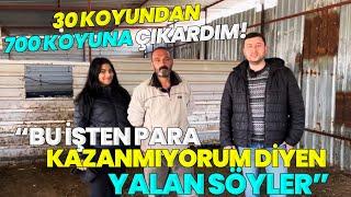 GÜNDE 300 LİTRE SÜT SAĞIYOR! / "30 Koyundan 700 Koyuna Çıkardım!"