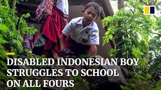 Indonesian eight-year-old boy outpaces disability by walking to school on all fours