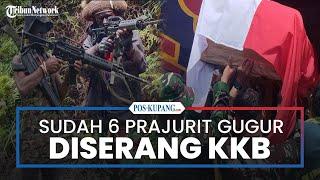 Bulan ke 3 di Tahun 2024 Sudah 6 Prajurit TNI-Polri Gugur Diserang KKB Papua