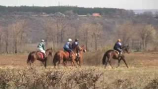 Todorov's Day 2008: Horseback Riding Preparation