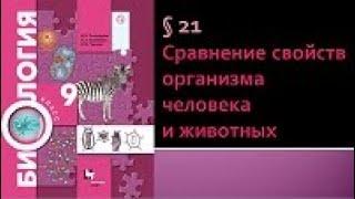 Биология 9 класс. Сравнение свойств организма человека и животных