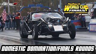 World Cup Finals Import vs Domestic All Finals Rounds | Domestic Domination | PalfiebruTV