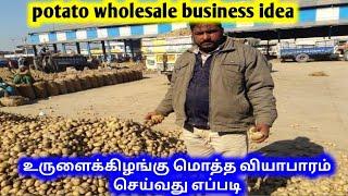 உருளைக்கிழங்கு கிலோ 5 ரூபாய் முதல் கிடைக்கும் | potato wholesale business | potato market rate today