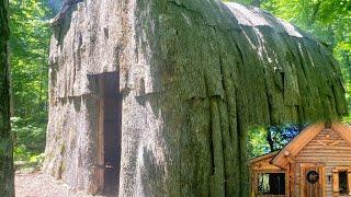 Bushcraft Building Natural Primitive Bark Roof Longhouse Shelter - First Overnight & Off Grid Cabin