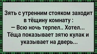 Как Наглый Зять к Теще в Комнату Пришел! Сборник Свежих Анекдотов! Юмор!