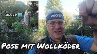 Mit POSE und WOLLE auf große FRIEDFISCHE