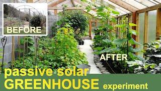 We built a passive solar GREENHOUSE | Here’s what happened