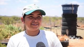 Reuso da água no sertão do Rio Grande do Norte garante irrigação e mantém produtores no campo