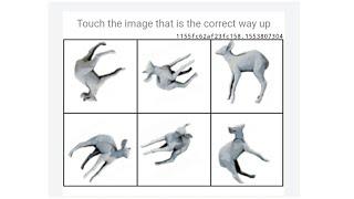 Touch the image that is the Correct Way Up | How to Fix Touch the image that is the Correct Way Up
