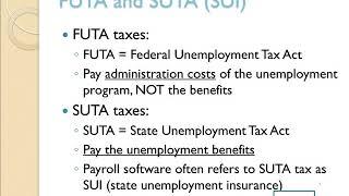 Employer Payroll Taxes