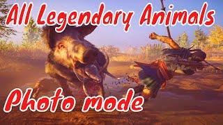 All Legendary Animals. Photo mode. Assassin's Creed Odyssey