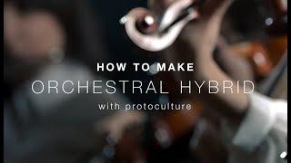 How To Make Orchestral Hybrid with Protoculture - Keyswitches Expressions Maps and Articulations