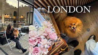 London vlog 1 | собака, винтажный рынок, гуляю с подругой