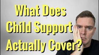 What does child support actually cover? What expenses are included in child support? ￼