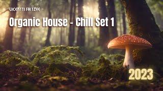 Organic House - Chill Set 1